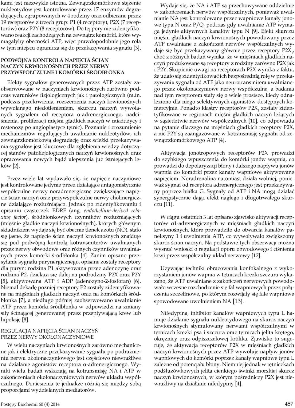 receptorów) oraz P2Y (8 receptorów).