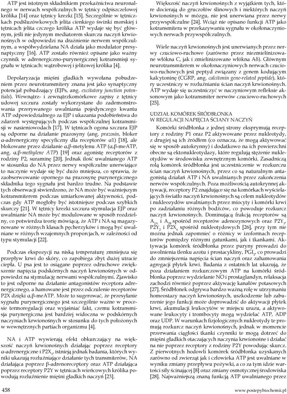 odpowiedzi na drażnienie nerwem współczulnym, a współwydzielana NA działa jako modulator presynaptyczny [16].