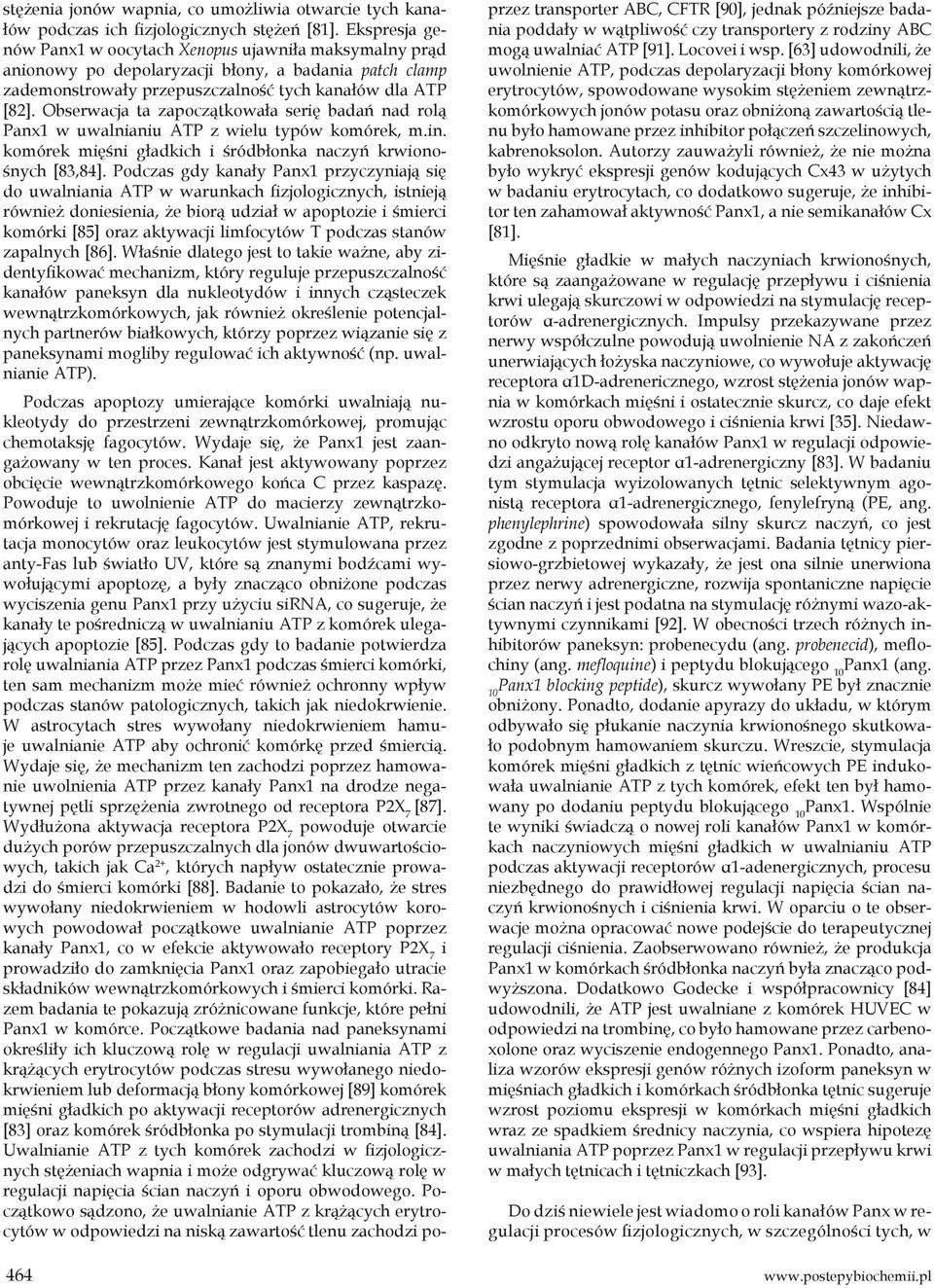 Obserwacja ta zapoczątkowała serię badań nad rolą Panx1 w uwalnianiu ATP z wielu typów komórek, m.in. komórek mięśni gładkich i śródbłonka naczyń krwionośnych [83,84].