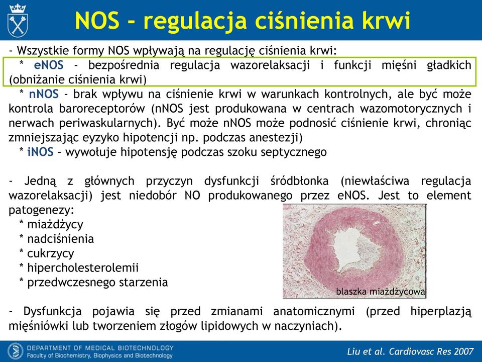 Być może nnos może podnosić ciśnienie krwi, chroniąc zmniejszając eyzyko hipotencji np.