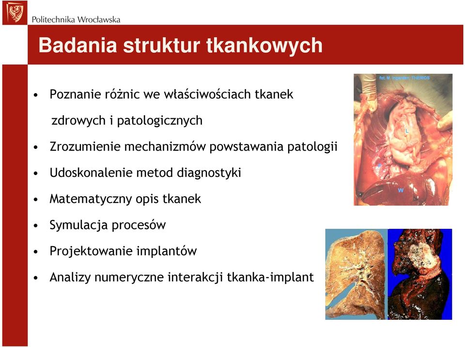 Udoskonalenie metod diagnostyki Matematyczny opis tkanek Symulacja