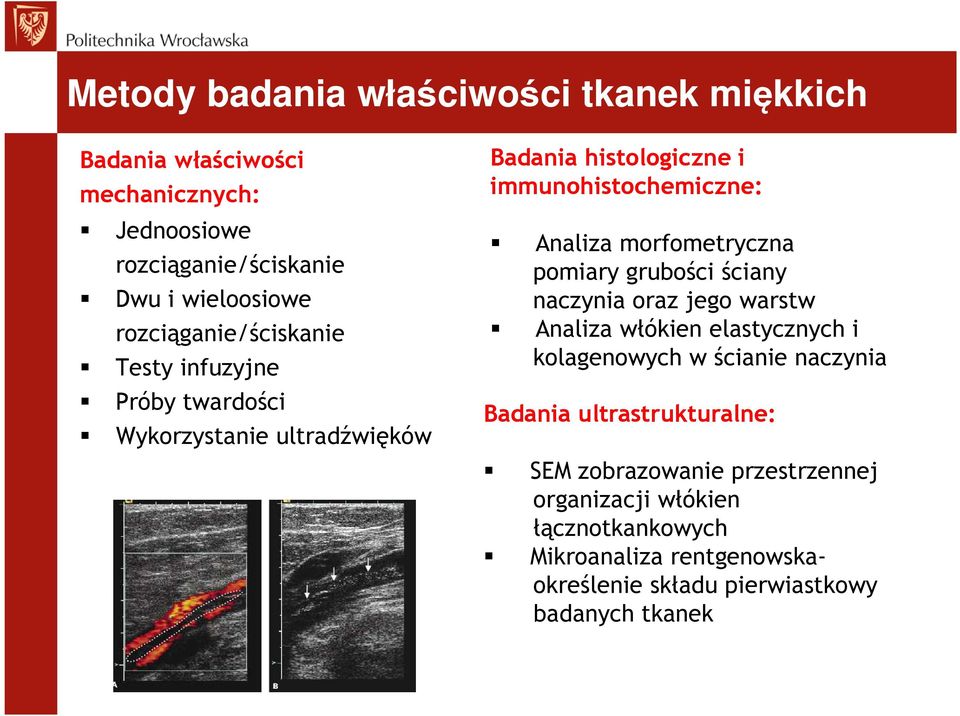 morfometryczna pomiary grubości ściany naczynia oraz jego warstw Analiza włókien elastycznych i kolagenowych w ścianie naczynia Badania