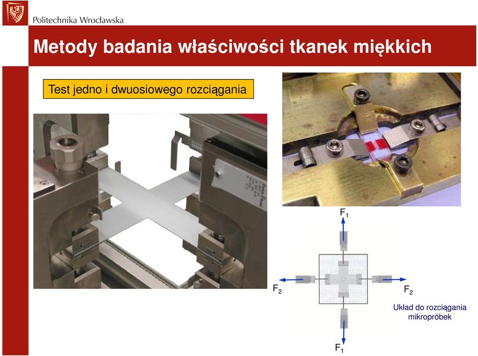dwuosiowego rozciągania F 1 F 2