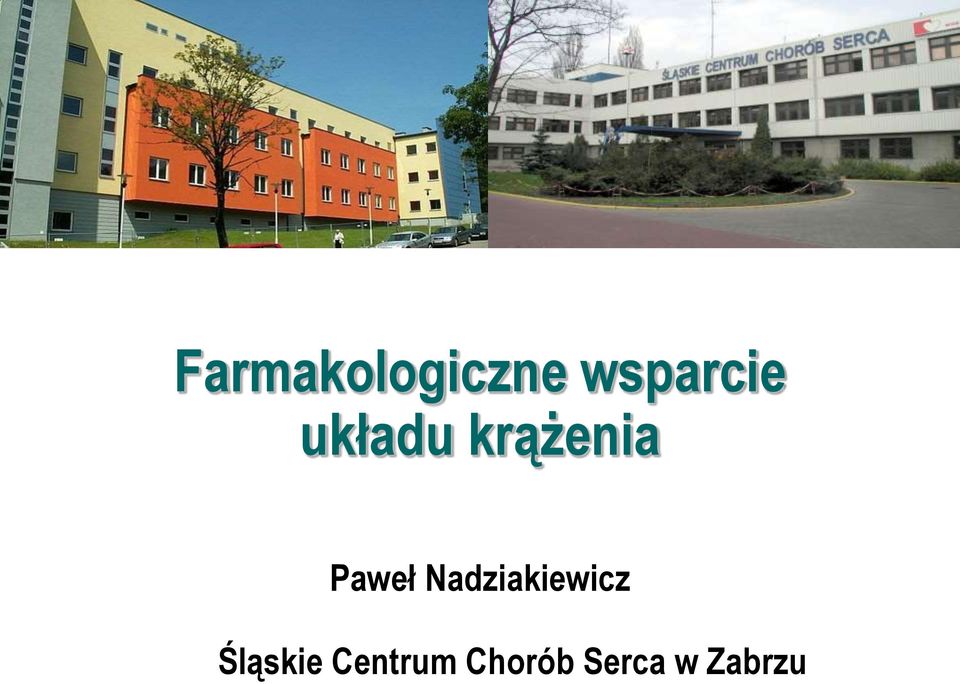 Nadziakiewicz Śląskie