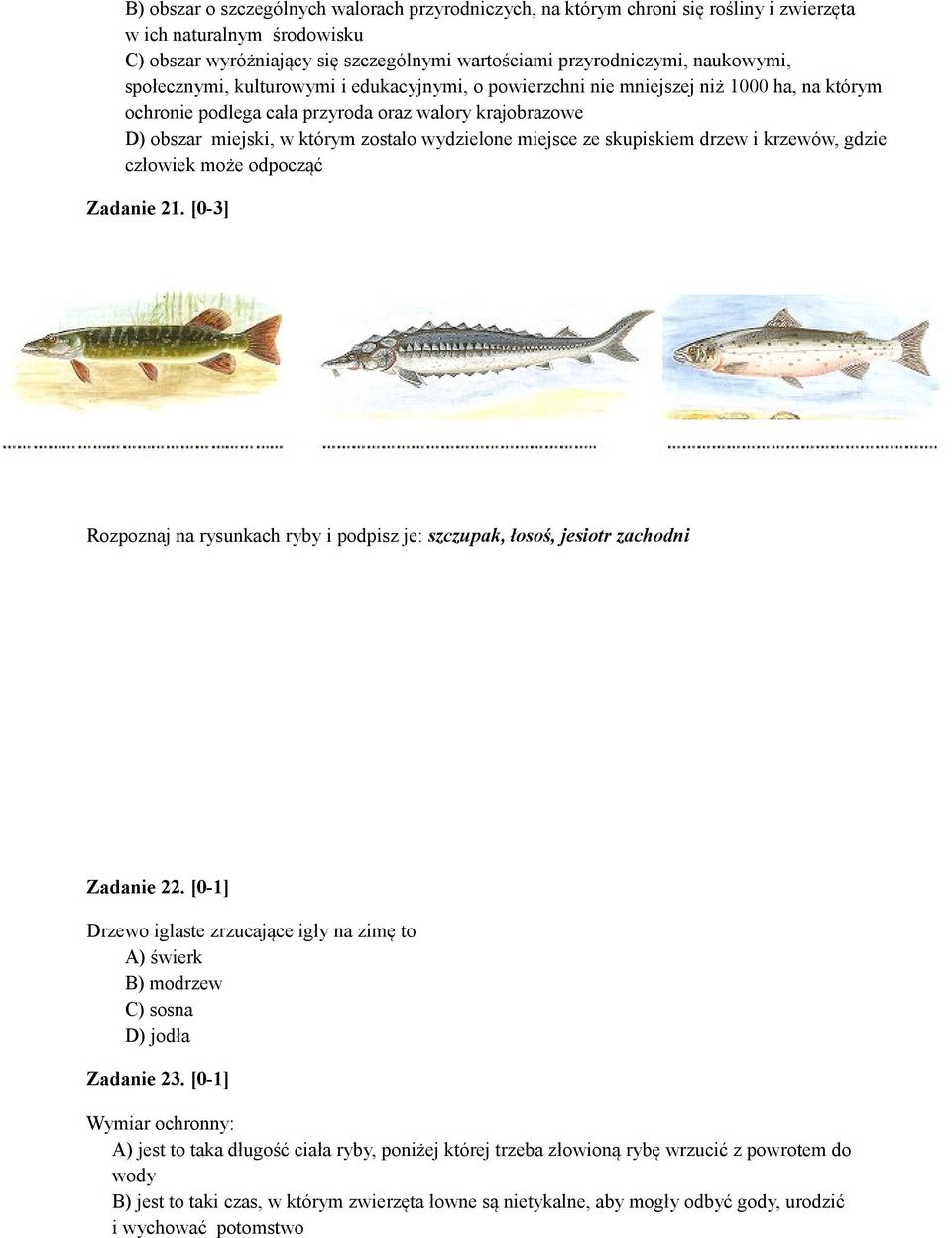miejsce ze skupiskiem drzew i krzewów, gdzie człowiek może odpocząć Zadanie 21. [0-3] Rozpoznaj na rysunkach ryby i podpisz je: szczupak, łosoś, jesiotr zachodni Zadanie 22.