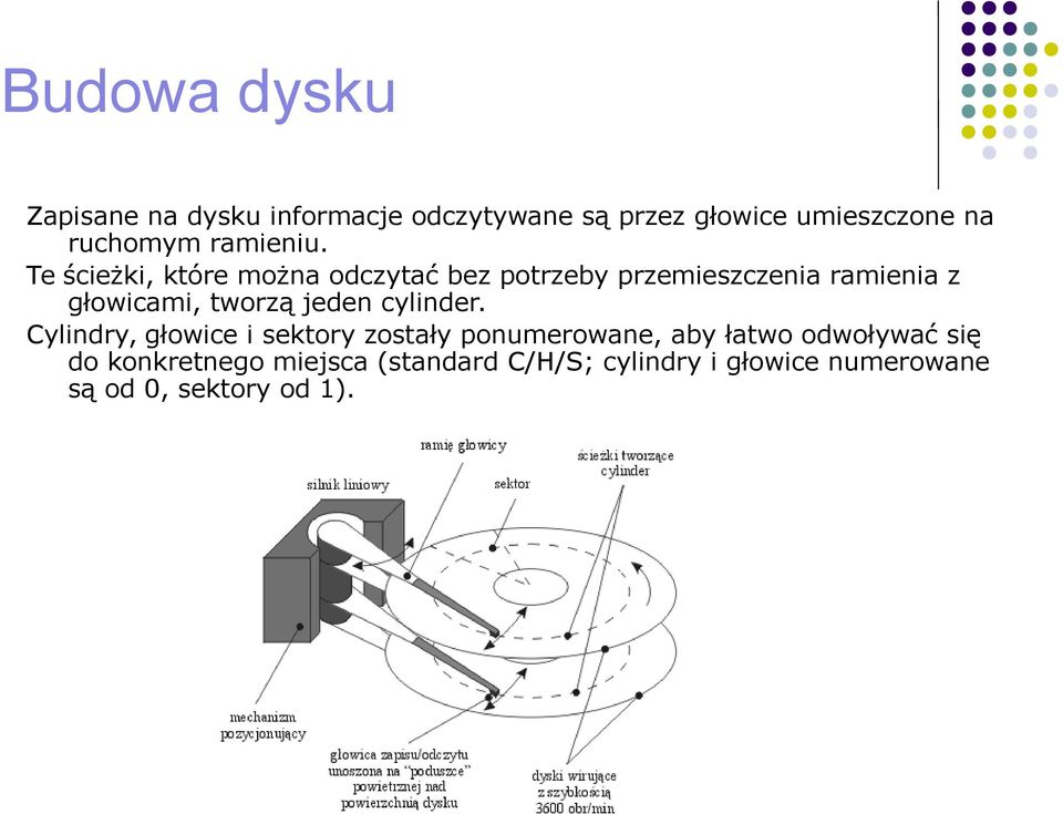 Te ścieżki, które można odczytać bez potrzeby przemieszczenia ramienia z głowicami, tworzą