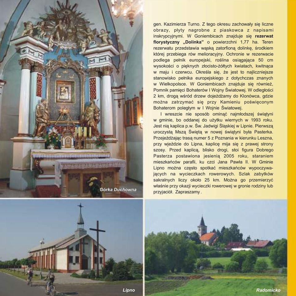 Ochronie w rezerwacie podlega pe³nik europejski, roœlina osi¹gaj¹ca 50 cm wysokoœci o piêknych z³ocisto- ó³tych kwiatach, kwitn¹ca w maju i czerwcu.