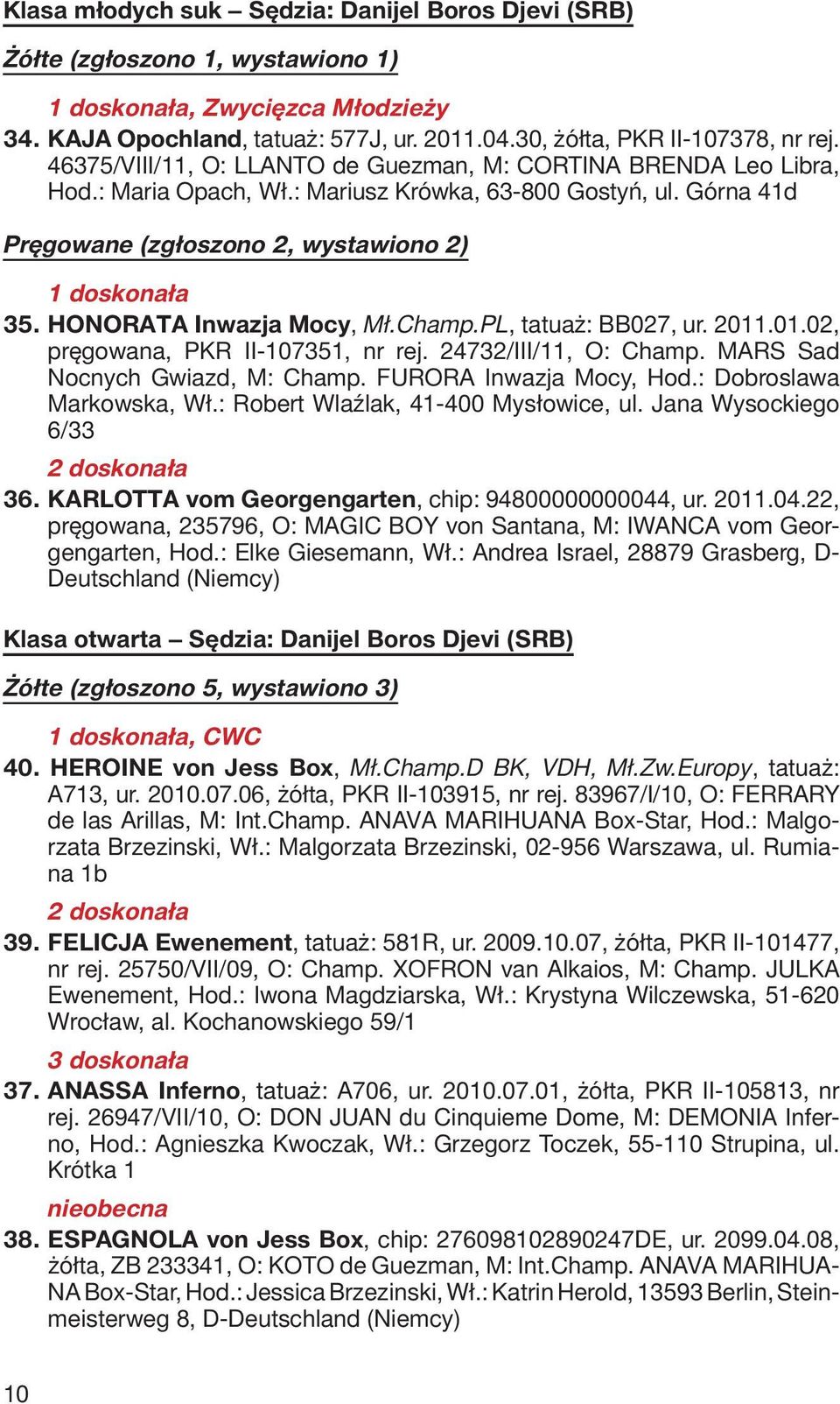 HONORATA Inwazja Mocy, Mł.Champ.PL, tatuaż: BB027, ur. 2011.01.02, pręgowana, PKR II-107351, nr rej. 24732/III/11, O: Champ. MARS Sad Nocnych Gwiazd, M: Champ. FURORA Inwazja Mocy, Hod.