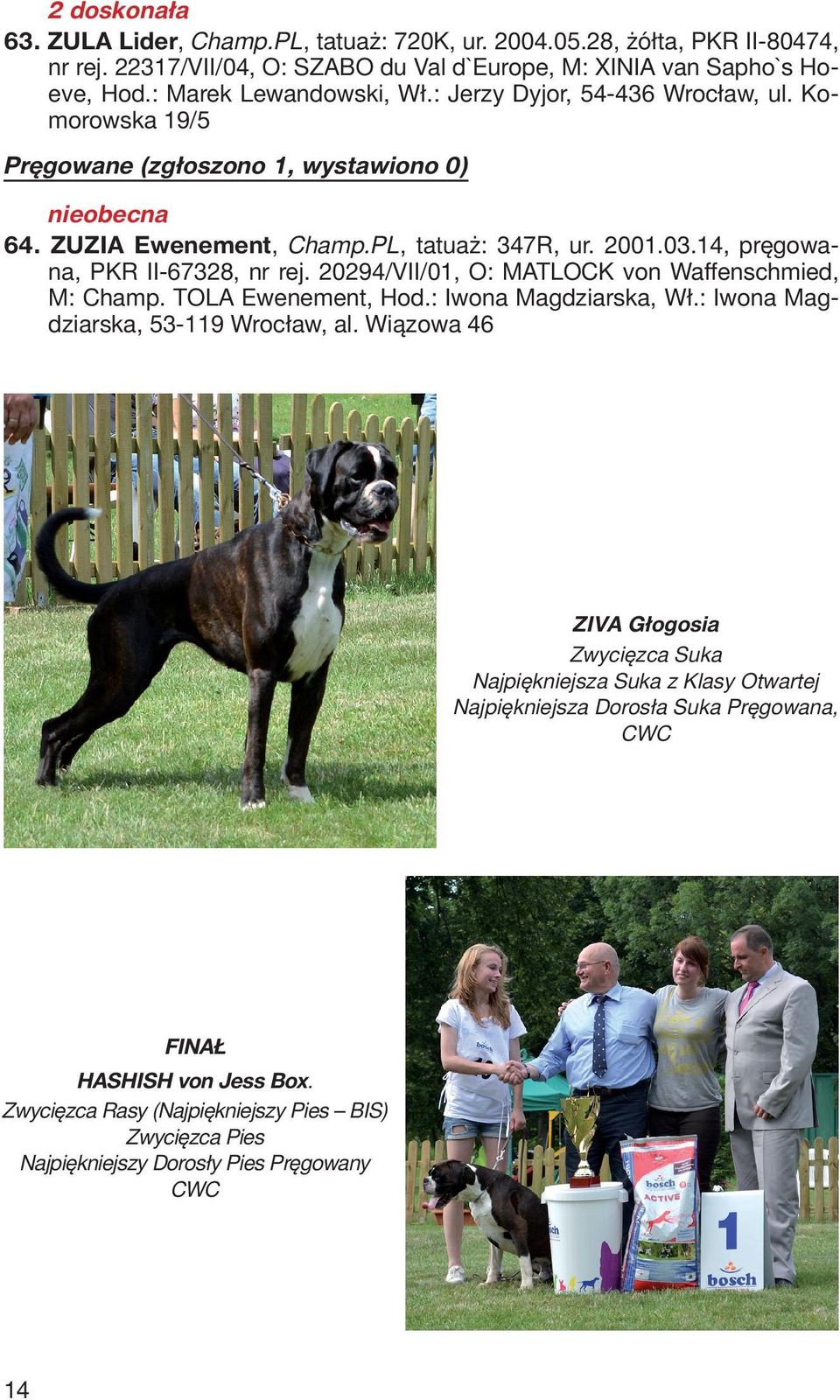 20294/VII/01, O: MATLOCK von Waffenschmied, M: Champ. TOLA Ewenement, Hod.: Iwona Magdziarska, Wł.: Iwona Magdziarska, 53-119 Wrocław, al.