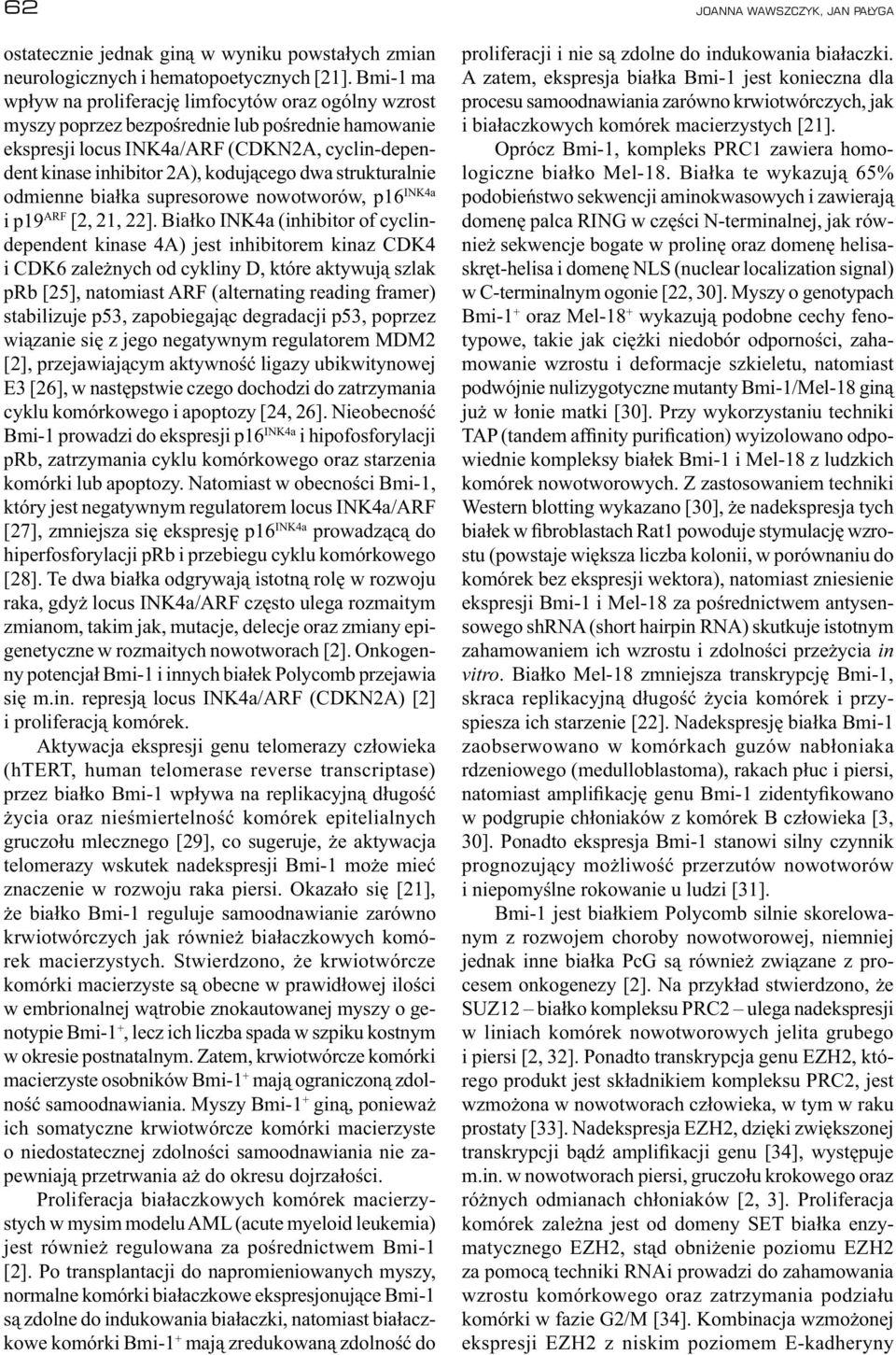 strukturalnie odmienne białka supresorowe nowotworów, p16 INK4a i p19 ARF [2, 21, 22].