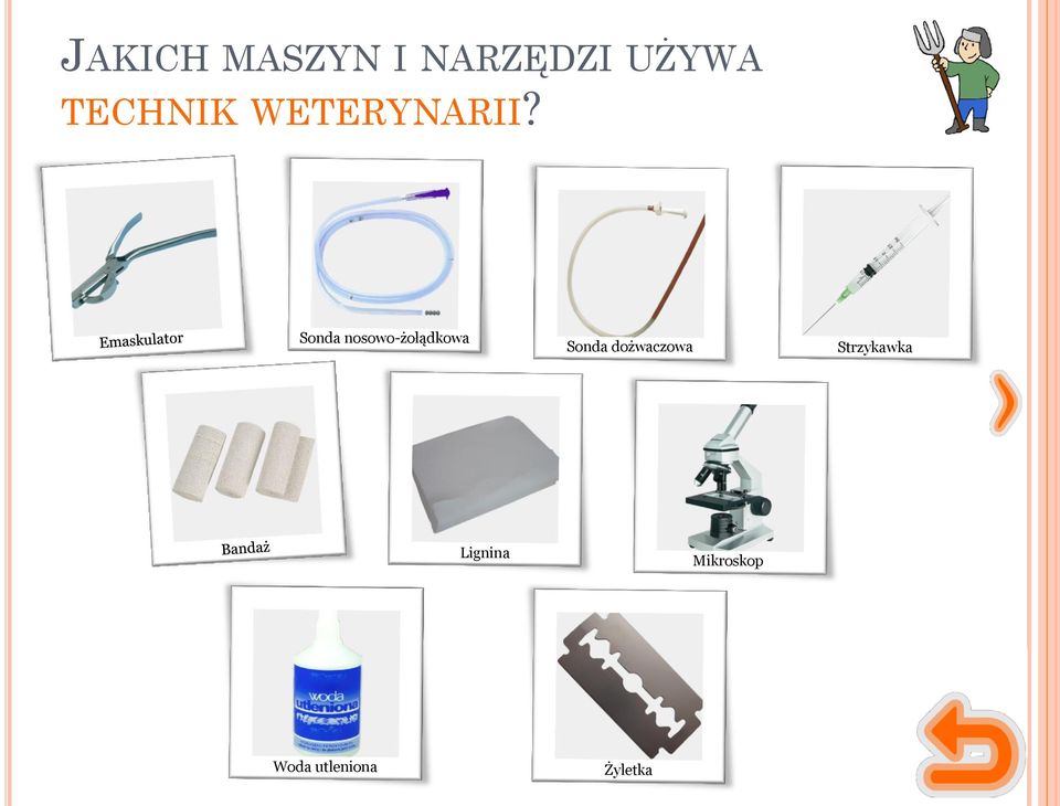 Sonda nosowo-żołądkowa Sonda