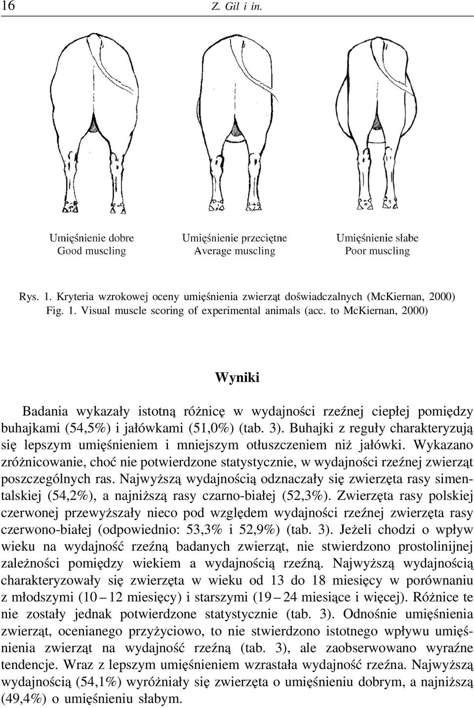 Buhajki z reguły charakteryzują się lepszym umięśnieniem i mniejszym otłuszczeniem niż jałówki.