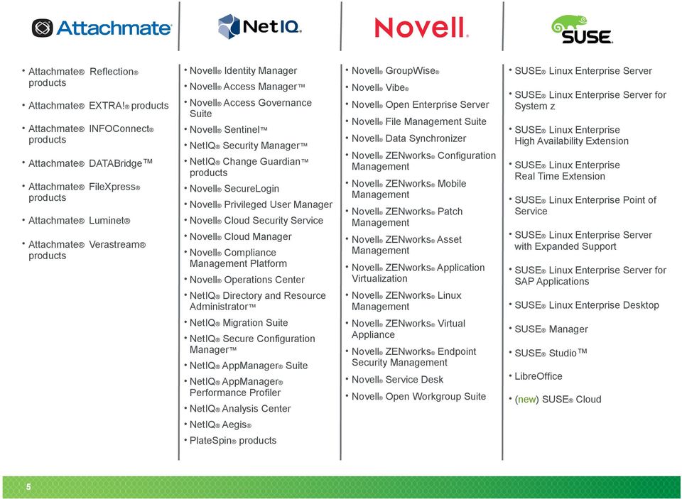 products Novell SecureLogin Attachmate Luminet Attachmate Verastream products NetIQ Security Manager Novell Privileged User Manager Novell Cloud Security Service Novell Data Synchronizer Novell