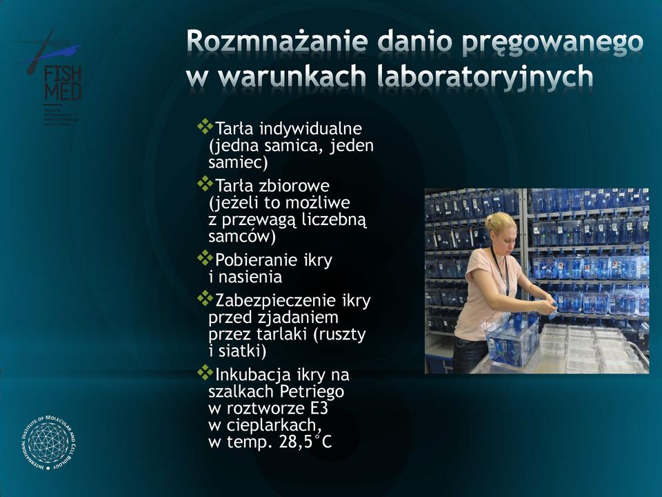 Zabezpieczenie ikry przed zjadaniem przez tarlaki (ruszty i siatki)