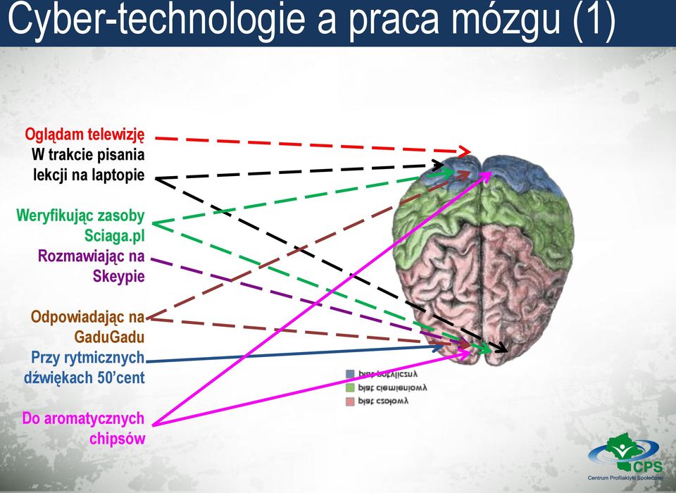 Sciaga.