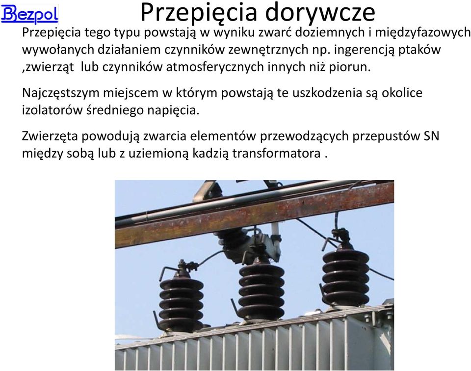 ingerencją ptaków,zwierząt lub czynników atmosferycznych innych niż piorun.