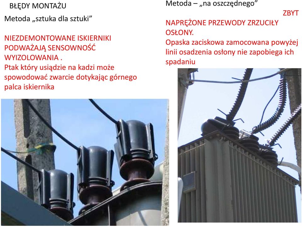 Ptak który usiądzie na kadzi może spowodować zwarcie dotykając górnego palca