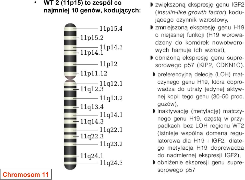najmniej 10