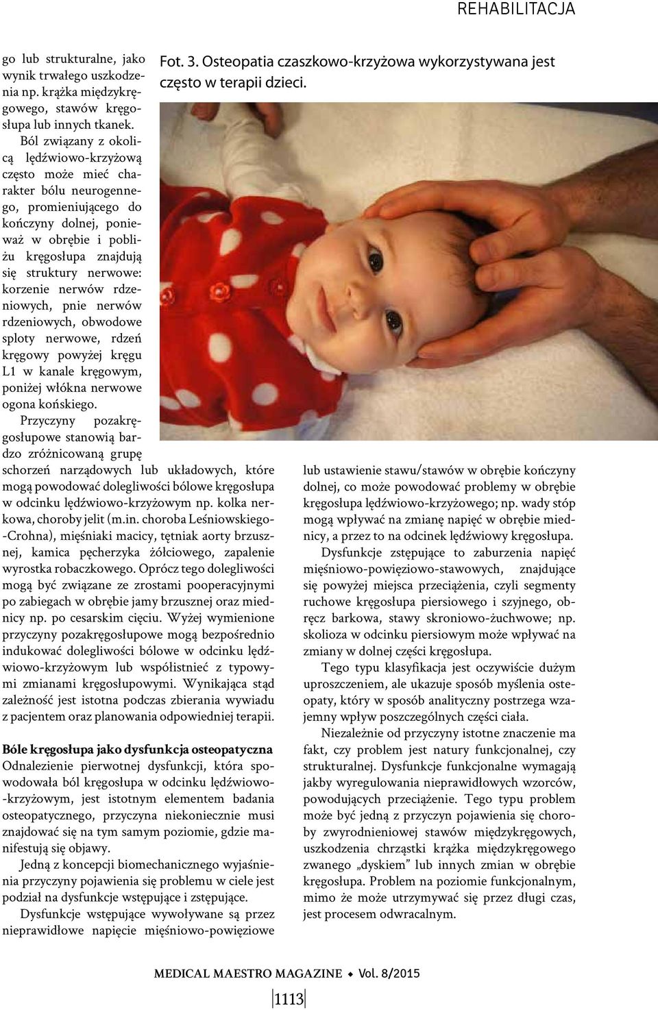 korzenie nerwów rdzeniowych, pnie nerwów rdzeniowych, obwodowe sploty nerwowe, rdzeń kręgowy powyżej kręgu L1 w kanale kręgowym, poniżej włókna nerwowe ogona końskiego.