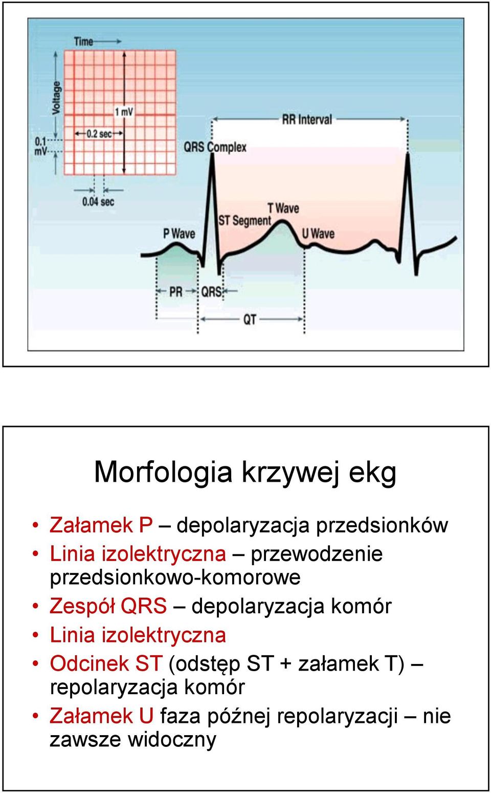 depolaryzacja komór Linia izolektryczna Odcinek ST (odstęp ST +