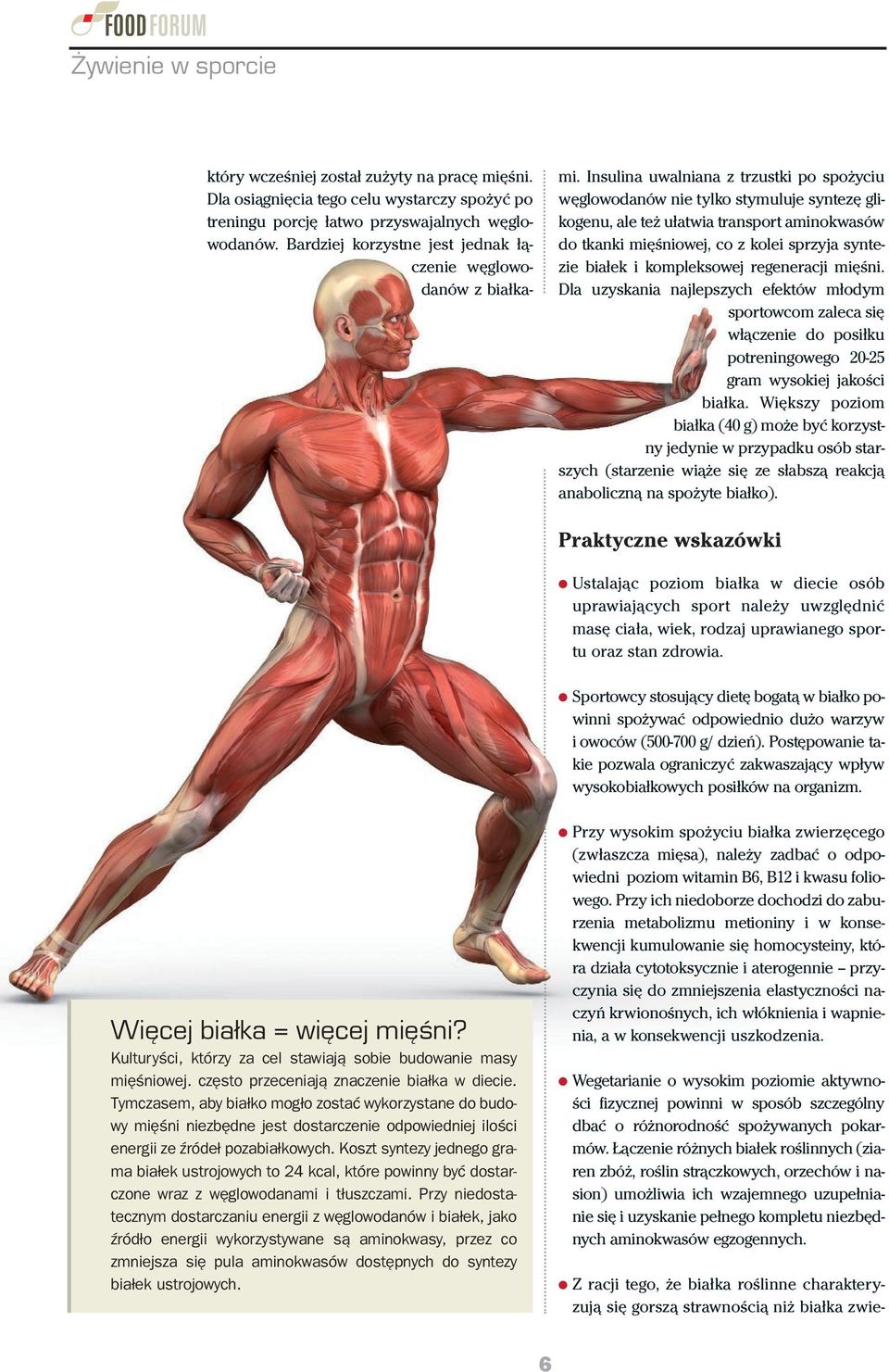 Insulina uwalniana z trzustki po spożyciu węglowodanów nie tylko stymuluje syntezę glikogenu, ale też ułatwia transport aminokwasów do tkanki mięśniowej, co z kolei sprzyja syntezie białek i