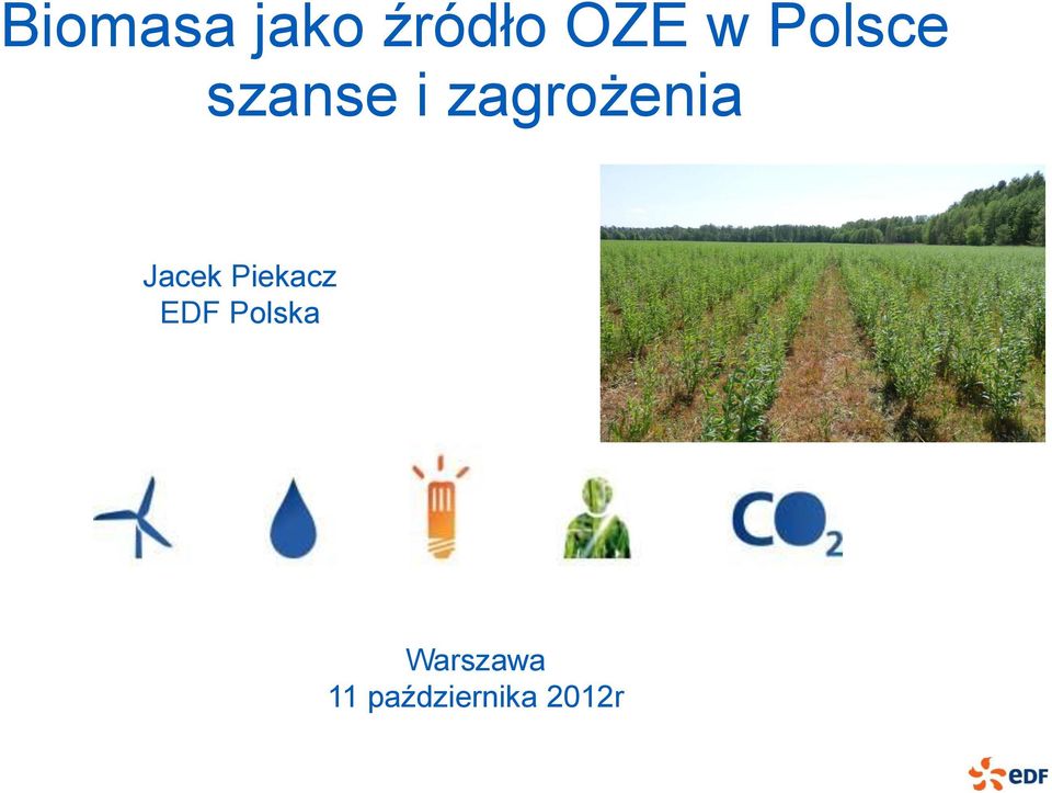 Jacek Piekacz EDF Polska