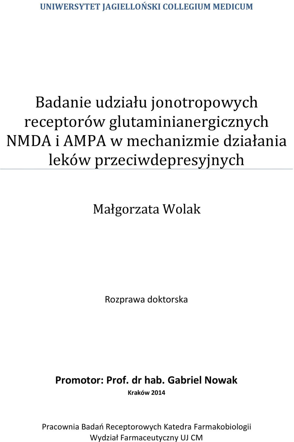 Małgorzata Wolak Rozprawa doktorska Promotor: Prof. dr hab.