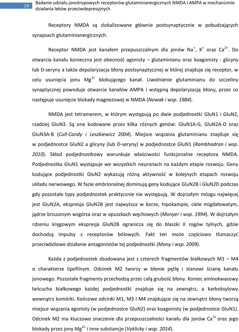 jonu Mg 2+ blokującego kanał.