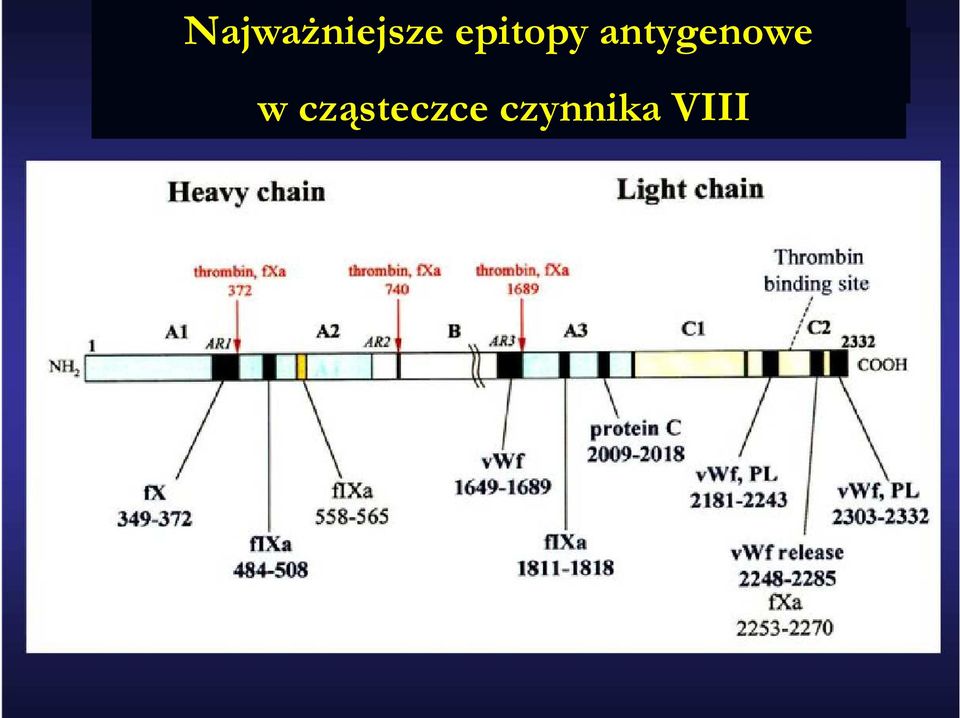 antygenowe w