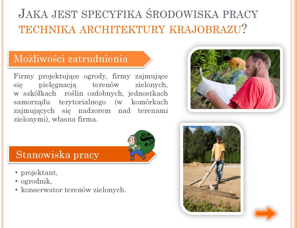 zielonych, w szkółkach roślin ozdobnych, jednostkach samorządu terytorialnego (w komórkach