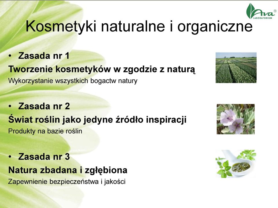 Świat roślin jako jedyne źródło inspiracji Produkty na bazie roślin