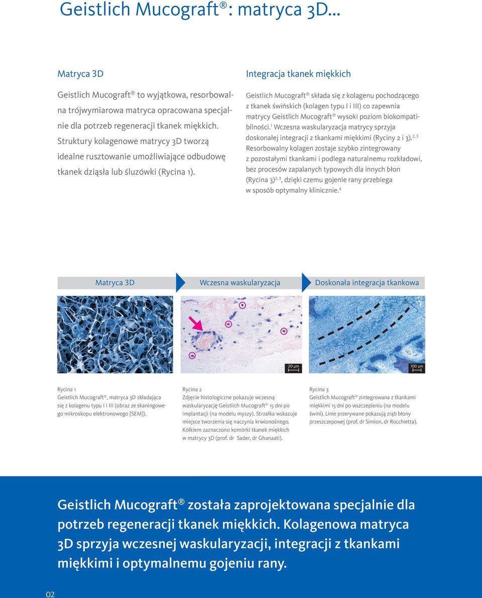 Integracja tkanek miękkich Geistlich Mucograft składa się z kolagenu pochodzącego z tkanek świńskich (kolagen typu I i III) co zapewnia matrycy Geistlich Mucograft wysoki poziom biokompatibilności.