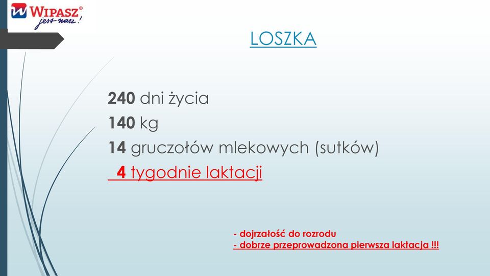 tygodnie laktacji - dojrzałość do