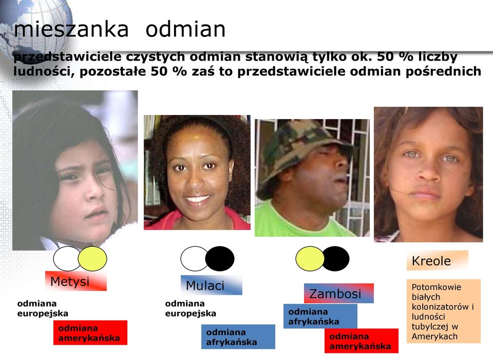 Metysi odmiana europejska odmiana amerykańska Mulaci odmiana europejska odmiana