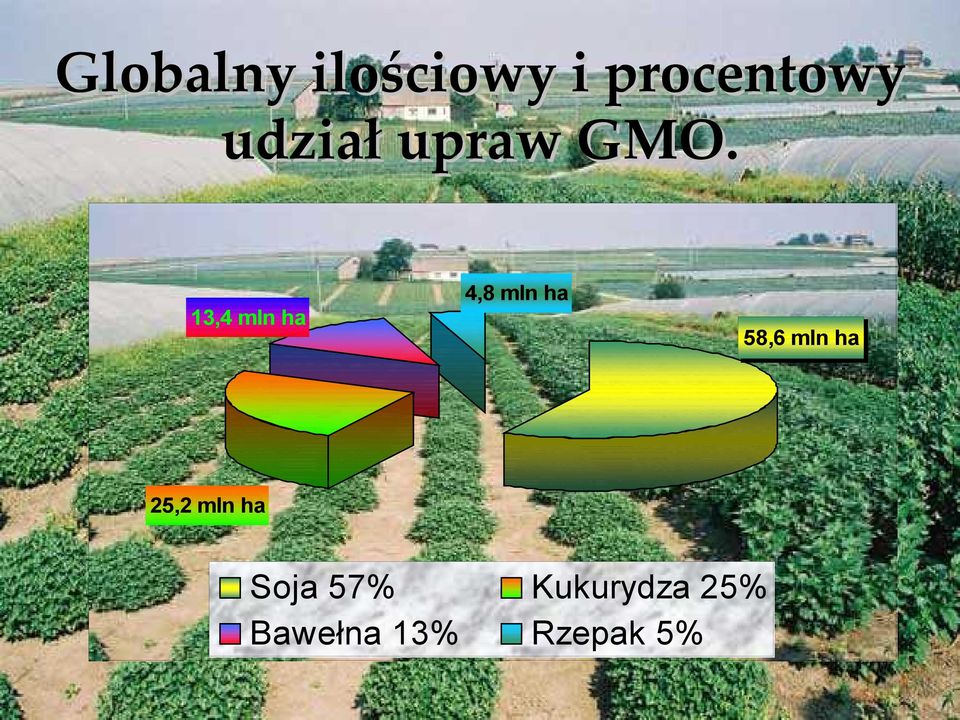 4,8 mln ha 13,4 mln ha 58,6 mln ha