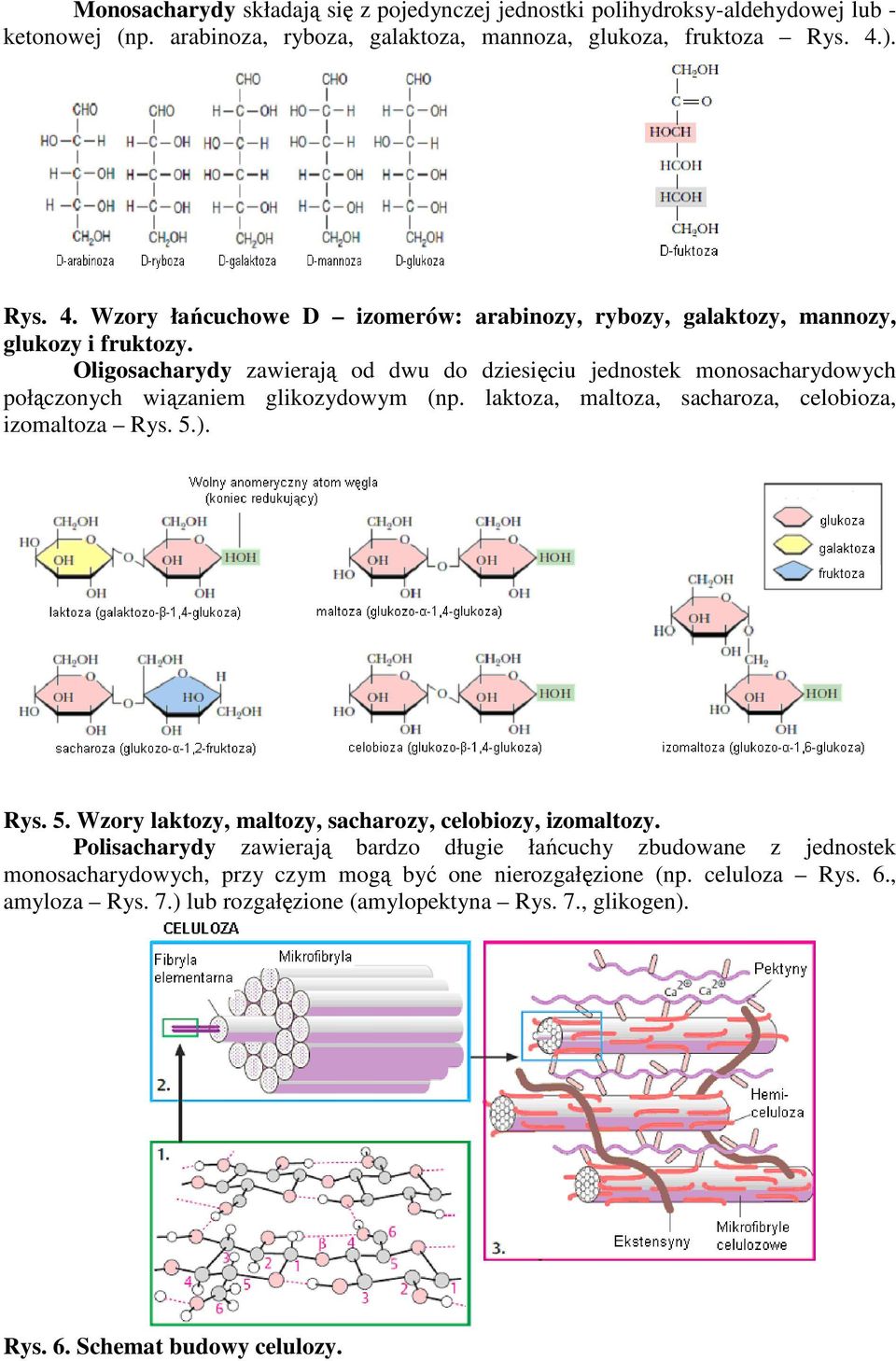 Oligosacharydy zawierają od dwu do dziesięciu jednostek monosacharydowych połączonych wiązaniem glikozydowym (np. laktoza, maltoza, sacharoza, celobioza, izomaltoza Rys. 5.