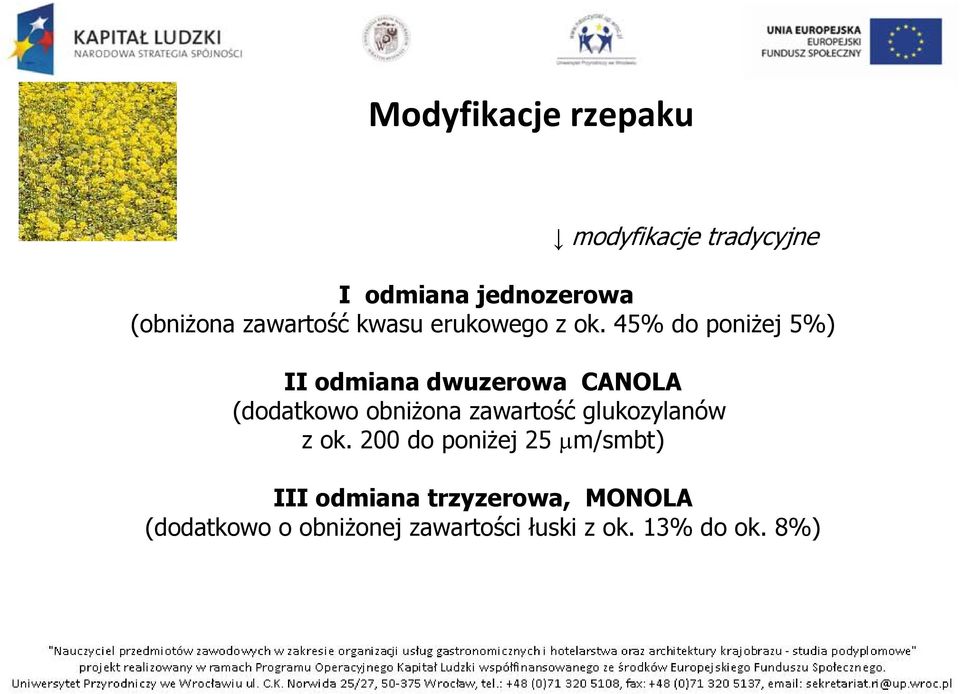 45% do poniżej 5%) II odmiana dwuzerowa CANOLA (dodatkowo obniżona zawartość