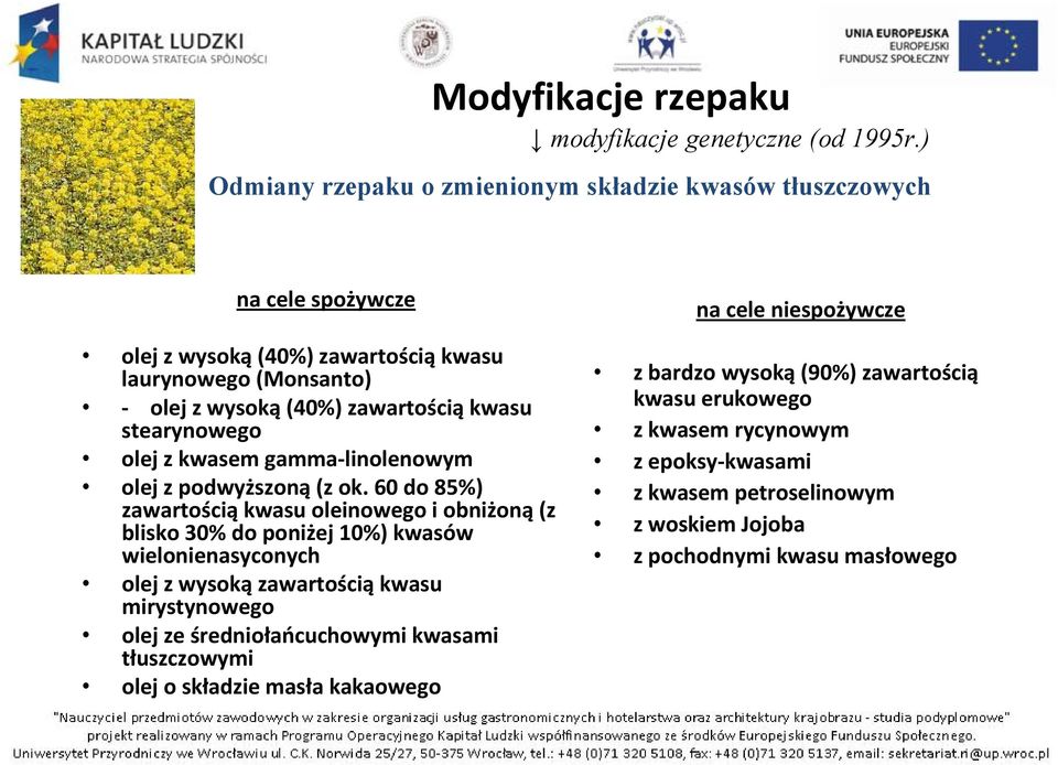 stearynowego olej z kwasem gamma linolenowym olej z podwyższoną (z ok.