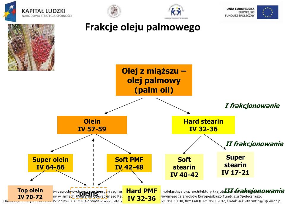 64-66 Soft PMF IV 42-48 Soft stearin IV 40-42 II frakcjonowanie Super