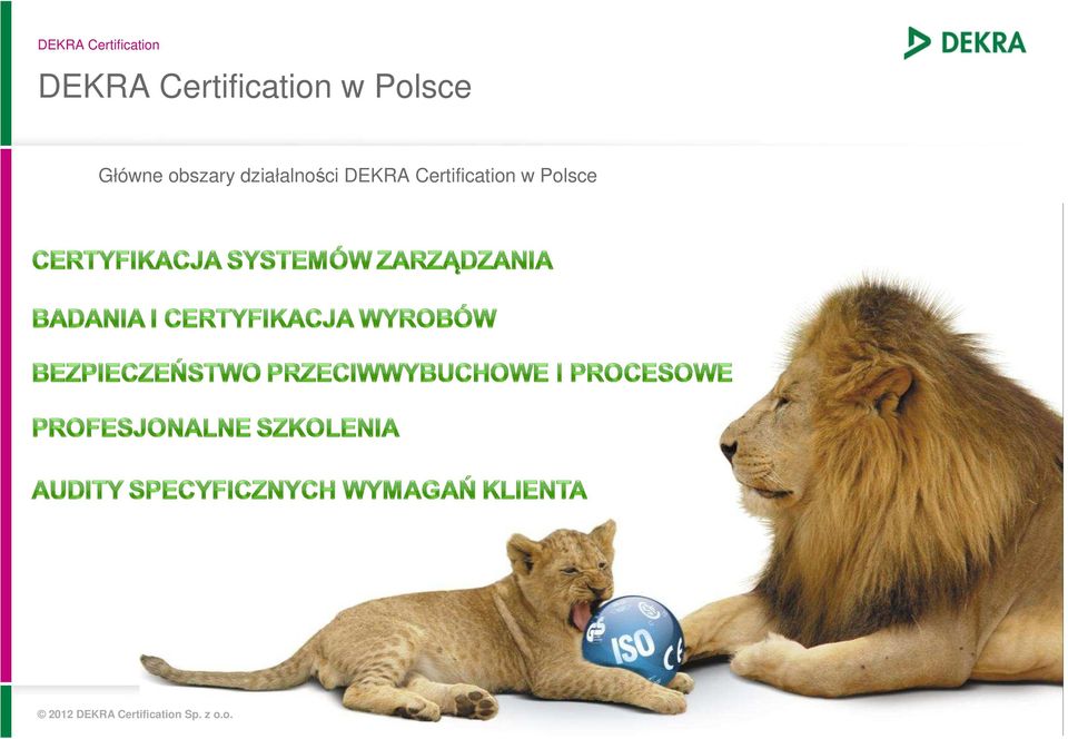działalności  Polsce