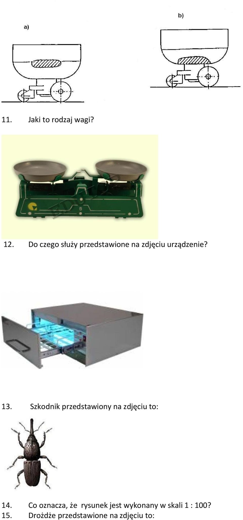 Szkodnik przedstawiony na zdjęciu to: 14.