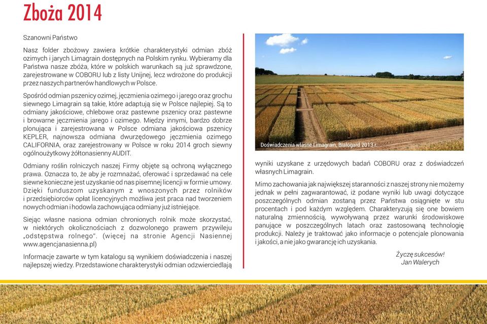 Spośród odmian pszenicy ozimej, jęczmienia ozimego i jarego oraz grochu siewnego Limagrain są takie, które adaptują się w Polsce najlepiej.