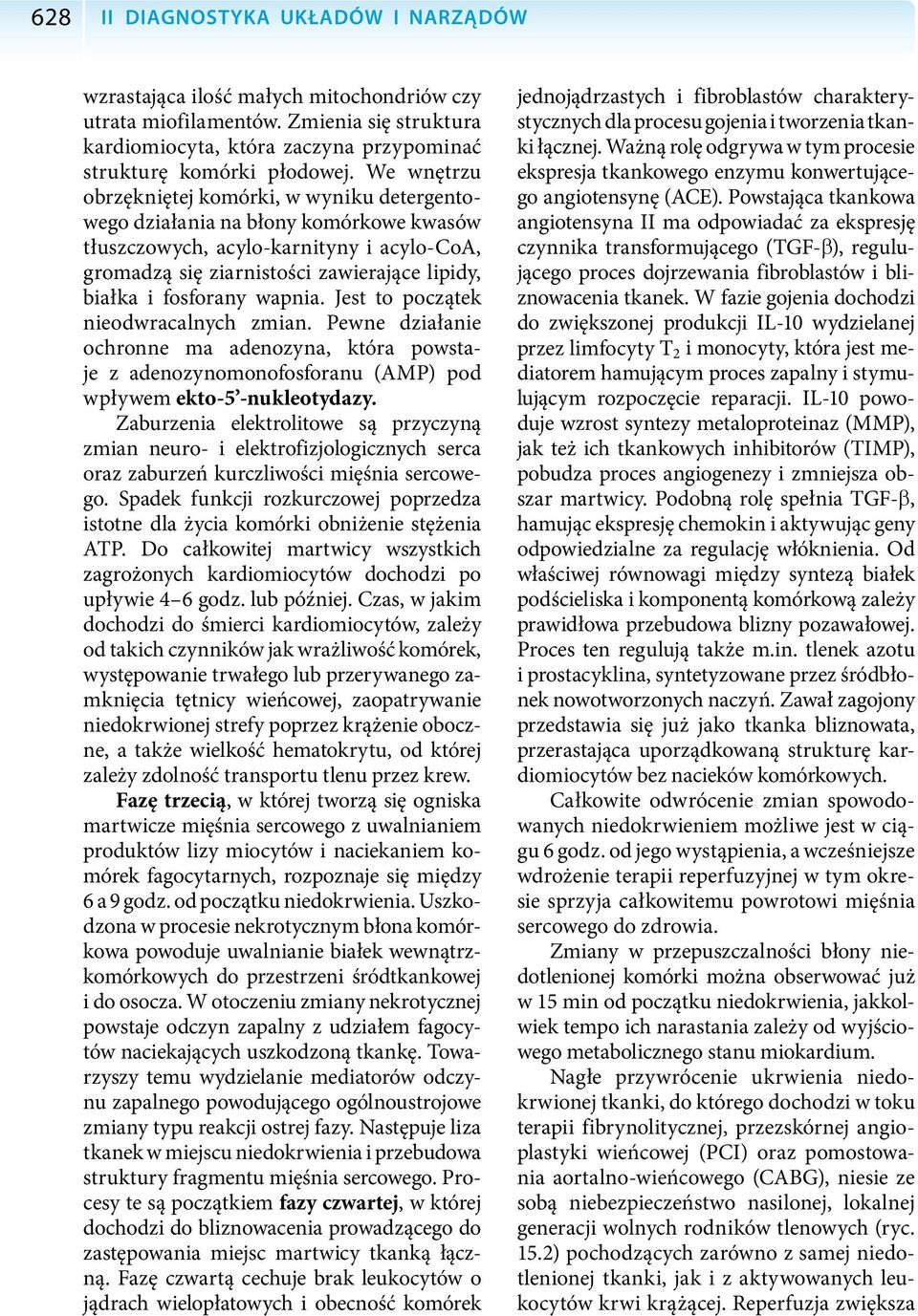 fosforany wapnia. Jest to początek nieodwracalnych zmian. Pewne działanie ochronne ma adenozyna, która powstaje z adenozynomonofosforanu (AMP) pod wpływem ekto-5 -nukleotydazy.