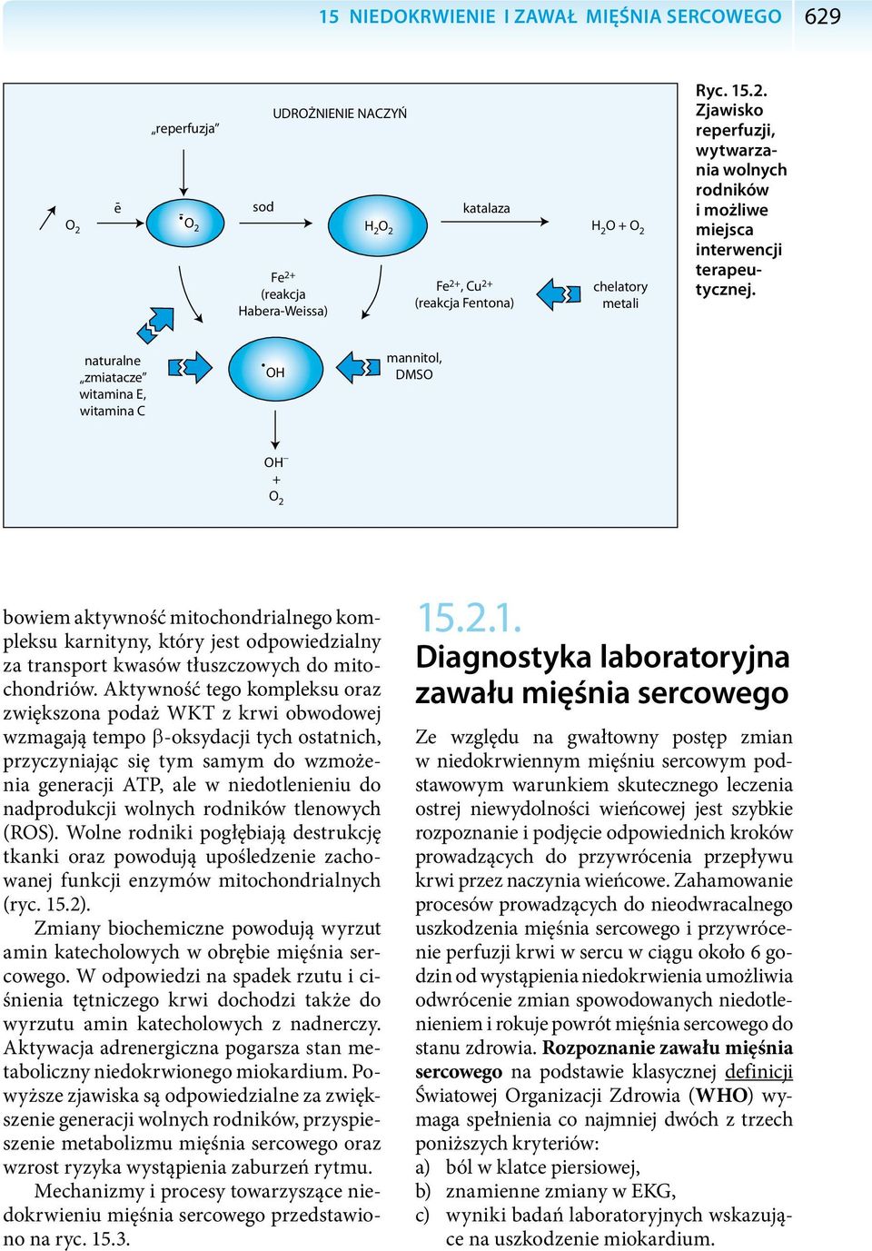 naturalne zmiatacze witamina E, witamina C OH mannitol, DMSO OH _ + O 2 bowiem aktywność mitochondrialnego kompleksu karnityny, który jest odpowiedzialny za transport kwasów tłuszczowych do
