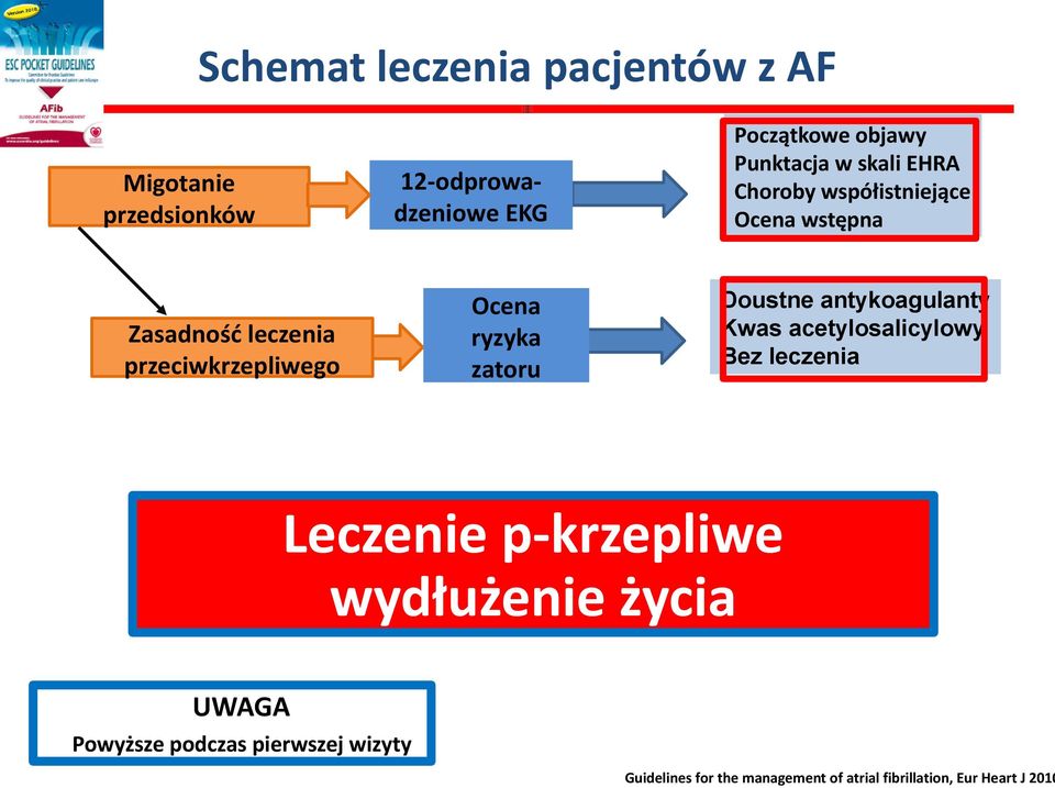 Ocena wstępna Doustne antykoagulanty Kwas acetylosalicylowy Bez leczenia Leczenie p-krzepliwe wydłużenie