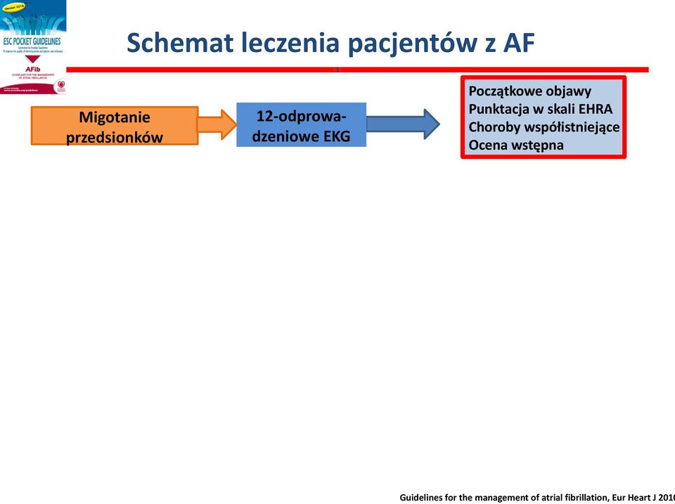 skali EHRA Choroby współistniejące Ocena wstępna