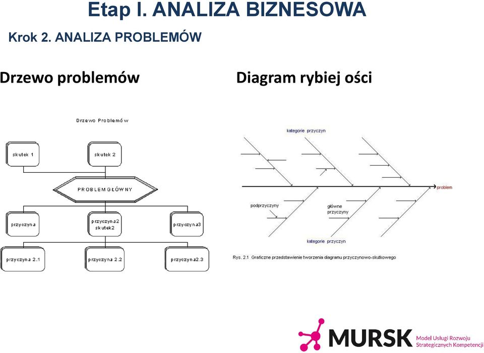 2. ANALIZA PROBLEMÓW