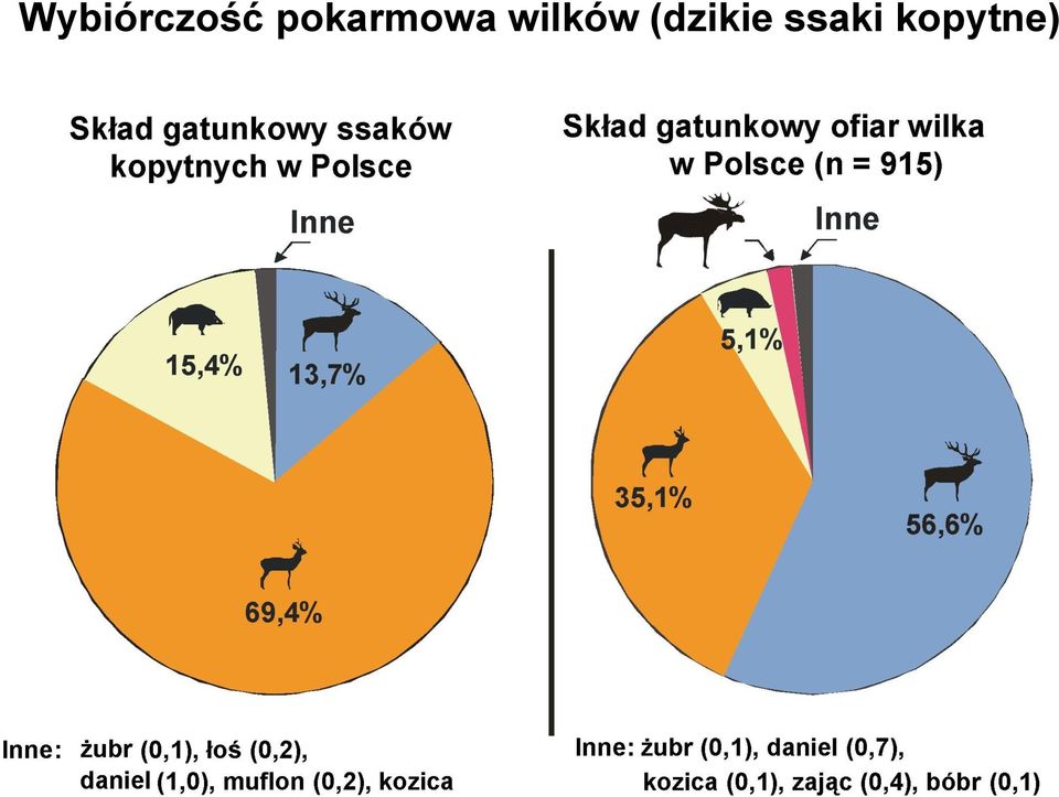 wilków