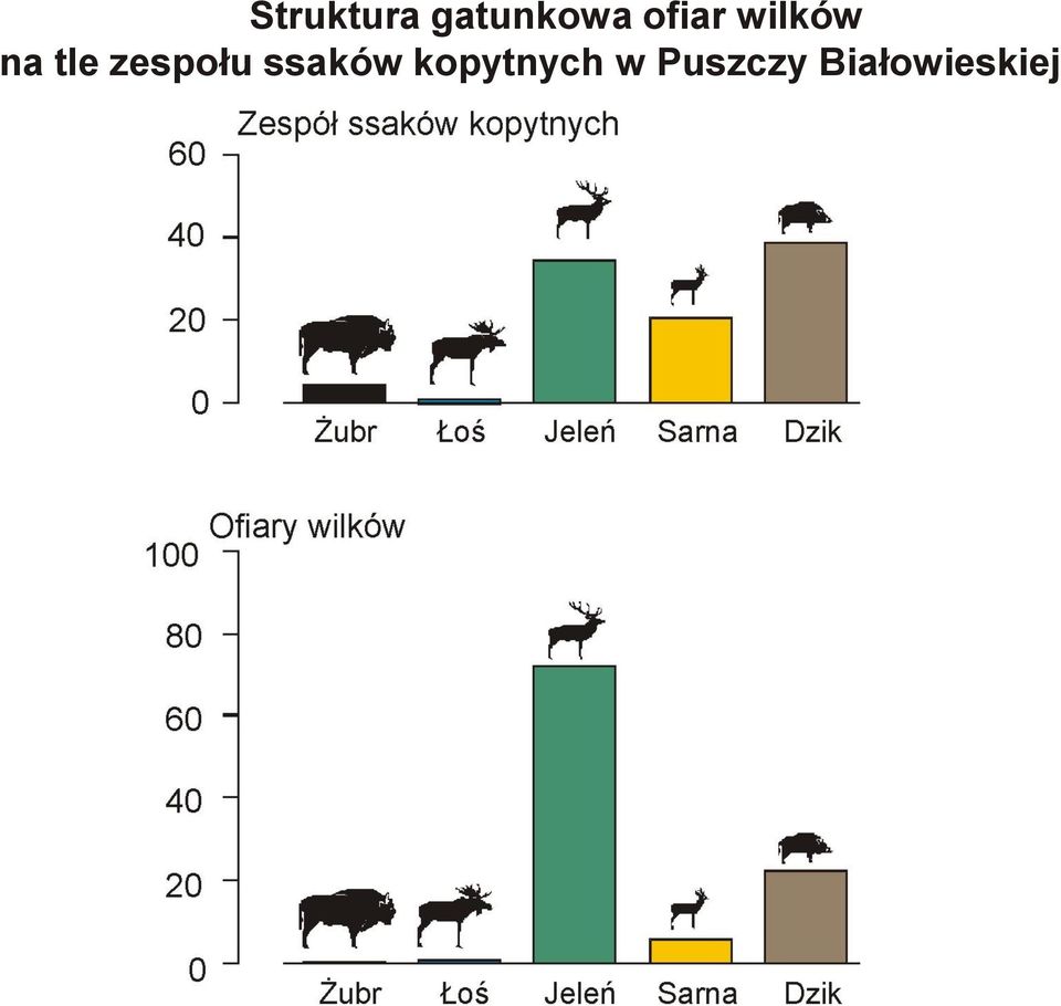 zespołu ssaków