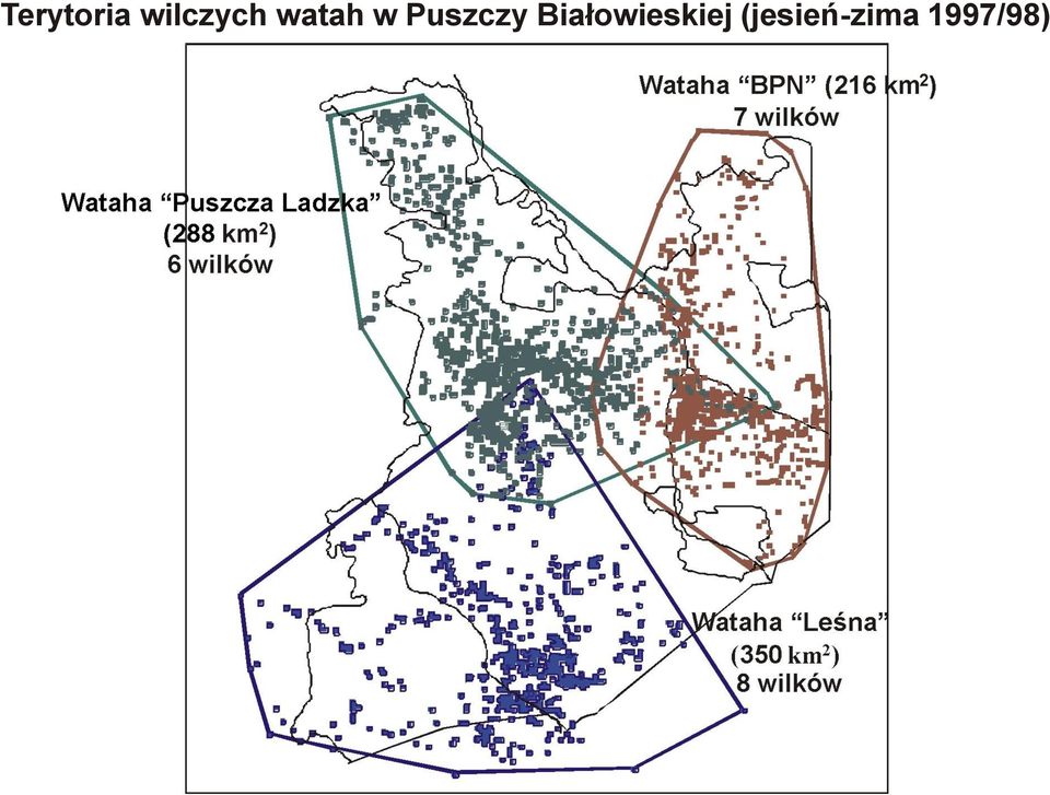 Puszczy